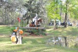 Red Hills Horse Trials 2018-046.jpg