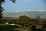 DSC_4194ab.jpg