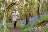 Bluebells 2018 Riverhill Himalayan Gardens