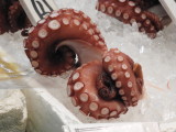 DSCN0912.JPG