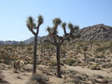 DSCN3371.JPG
