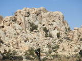 DSCN3392.JPG