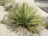 DSCN3416.JPG