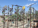 DSCN3573.JPG