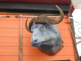 DSCN3604.JPG
