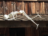 DSCN3560.JPG