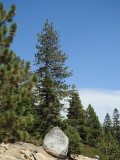 DSCN3914.JPG