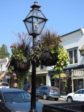 DSCN4118.JPG