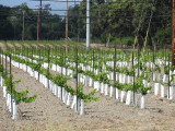 DSCN4173.JPG