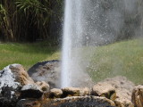 DSCN4229.JPG