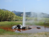 DSCN4236.JPG