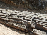 DSCN4252.JPG