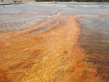 DSCN4469.JPG