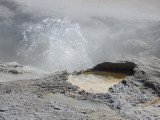 DSCN4514.JPG