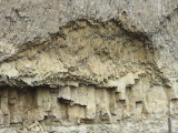 DSCN4685.JPG