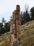 DSCN4691.JPG