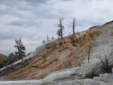 DSCN4730.JPG
