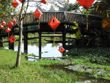 DSCN6949.JPG