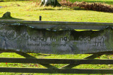 Parkend near Kelso