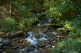 Catawba Falls Trail