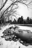 Flambeau River, Black & white