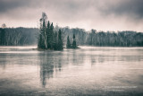 A moody winter scene