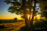 Sunrise in the North Country 3