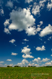 A perfect summer sky