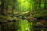 Magical creek, Blue Hills