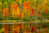 Fall color reflections