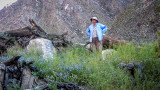 Palm Canyon Trail