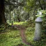 Sitka