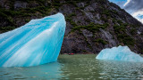 Tracy Arm