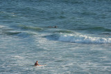 Surfers