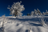 2017 A Sunny Winter Day in Witów (Poland)