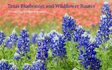 Texas Bluebonnet and Wildflower Routes eBooks