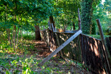 Wooden Fence In The Woods