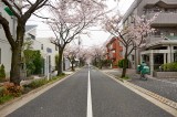 Street in Yōga Tokyo @f5.6 D700