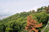 Matsuyama castle and city Reala