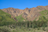 Denali-28.jpg