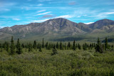 Denali-4.jpg