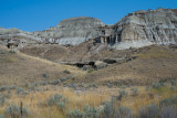 Dino Park-35.jpg