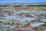 Dino Park-38.jpg