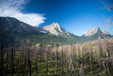 Glacier-42.jpg
