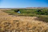 Grasslands-13.jpg