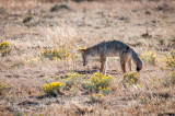 Grasslands-17.jpg
