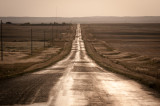 Grasslands-26.jpg