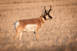 Grasslands-28.jpg