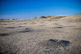 Grasslands-29.jpg