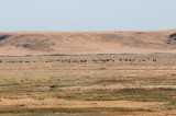 Grasslands-30.jpg